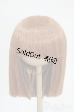 画像1: 8-9inch/ウィッグ Y-25-12-17-211-YB-ZY