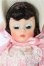 画像4: マダムアレクサンダー/The 25th anniversary Enchanted Doll S-25-12-21-223-TO-ZS (4)