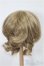 画像2: 7-8inch/ウィッグ S-25-12-21-156-TO-ZS (2)
