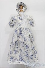 SD/OF:ワンピース S-25-12-21-181-TO-ZS