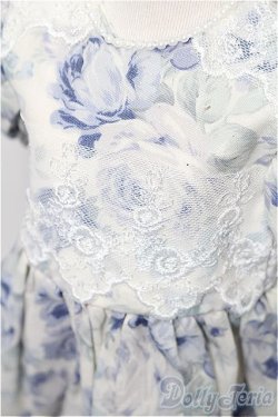 画像4: SD/OF:ワンピース S-25-12-21-181-TO-ZS