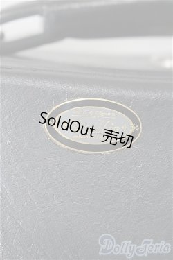 画像3: SD/ボークス バイオリン型キャリングケース S-26-02-08-511-TO-ZS