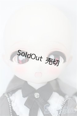 画像2: TinyFox/1/6/?中雀 カルディス  S-25-12-21-201-TO-ZS