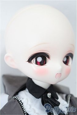 画像4: TinyFox/1/6/?中雀 カルディス  S-25-12-21-201-TO-ZS