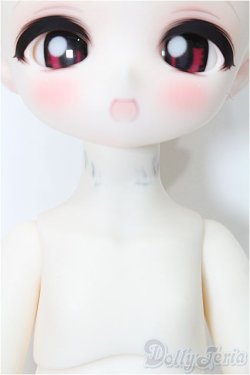 画像8: TinyFox/1/6/?中雀 カルディス  S-25-12-21-201-TO-ZS