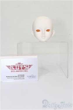 画像5: LUTS/2024 WINTER EVENT KDF Head S-25-12-21-228-TO-ZS