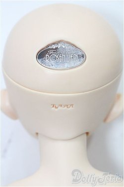 画像4: Rosenlied/Holidays child：Limited Basic Mignon S-25-12-28-101-TO-ZS