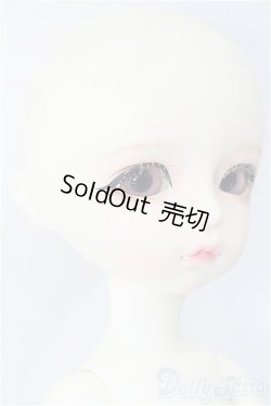 画像3: NEO ANGELREGION/imda3.0 Modigli S-26-07-05-520-TO-ZS