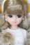 画像1: キャッスル/リカちゃん 2022年S月間ドールコレクション8月 S-25-12-28-113-TO-ZS (1)