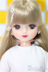 キャッスル/きらちゃん SVキャッスルコレクション-10(モデルNo.12229) S-25-12-28-111-TO-ZS