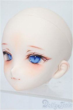 画像3: DD/DDH-06カスタムヘッド(やづ様 製) S-25-12-28-124-TO-ZS