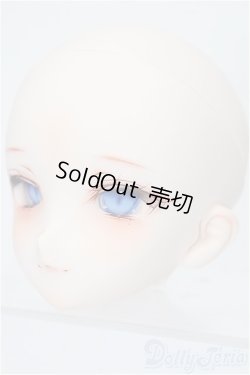 画像3: DD/DDH-06カスタムヘッド(やづ様 製) S-25-12-28-124-TO-ZS