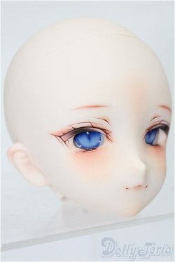 画像4: DD/DDH-06カスタムヘッド(やづ様 製) S-25-12-28-124-TO-ZS