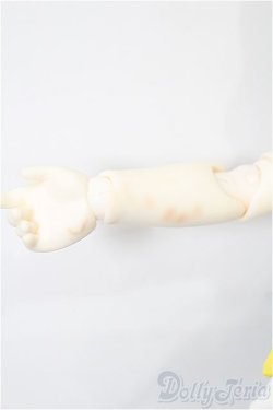 画像9: TinyFox/輝き夢見るペンギン デビー S-25-12-28-103-TO-ZS