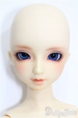 SD/サキ　スタンダードモデル S-26-01-18-117-TO-ZS