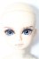 画像1: SPIRIT DOLL/Dandelion S-26-01-25-207-TO-ZS (1)