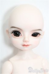 RINGDOLL/1/6 孫策 S-26-02-01-205-TO-ZS
