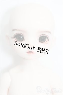 画像1: RINGDOLL/周瑜(Zhou Yu) S-26-02-01-206-TO-ZS