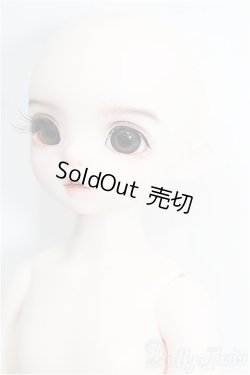 画像2: RINGDOLL/周瑜(Zhou Yu) S-26-02-01-206-TO-ZS