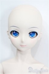 DD/雪ミク S-26-02-01-204-TO-ZS