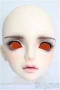 SWITCH/SHIHOヘッド S-26-09-13-511-TO-ZS