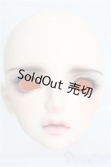 SWITCH/SHIHOヘッド S-26-09-13-511-TO-ZS