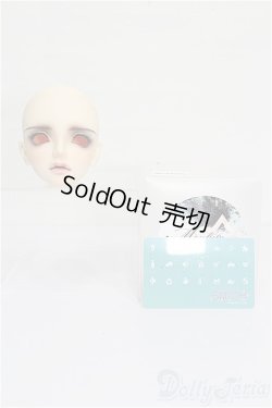 画像5: SWITCH/SHIHOヘッド S-26-09-13-511-TO-ZS