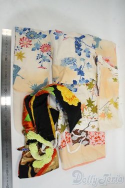 画像2: SD＆DD/OF:着物セット Y-26-01-21-248-TO-ZY