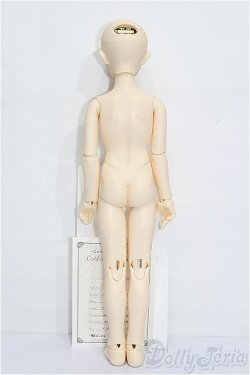 画像5: SDM男の子/コーディネートモデルF-35 S-26-01-25-206-TO-ZS