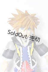 PLAY ARTS/Kingdom Hearts II S-26-04-19-476-TO-ZS