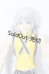 PLAY ARTS/Kingdom Hearts II S-26-01-25-309-TO-ZS