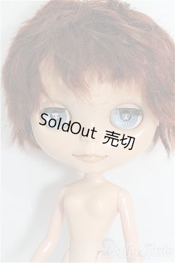 画像1: カスタムブライス/本体 S-26-02-01-253-TO-ZS