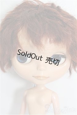 画像2: カスタムブライス/本体 S-26-02-01-253-TO-ZS