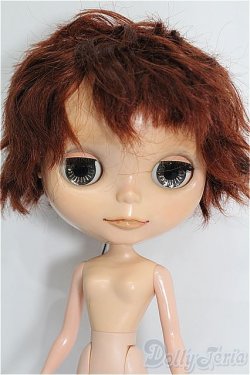 画像3: カスタムブライス/本体 S-26-02-01-253-TO-ZS