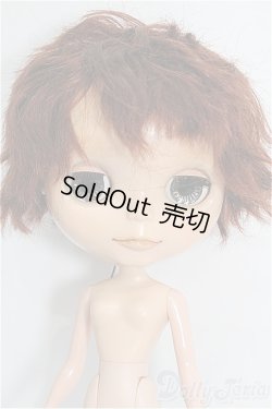 画像3: カスタムブライス/本体 S-26-02-01-253-TO-ZS