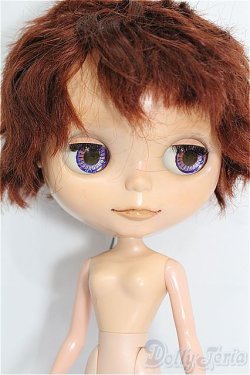 画像4: カスタムブライス/本体 S-26-02-01-253-TO-ZS