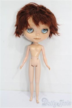 画像5: カスタムブライス/本体 S-26-02-01-253-TO-ZS