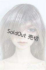 SD17男の子/レイズナー〜The Shadow of Captain II〜 S-26-06-07-354-TO-ZS