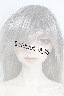 画像1: SD17男の子/レイズナー〜The Shadow of Captain II〜 S-26-06-07-354-TO-ZS