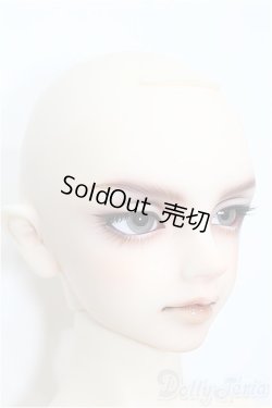 画像3: SD17男の子/レイズナー〜The Shadow of Captain II〜 S-26-06-07-354-TO-ZS
