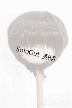 画像1: 8-9inch/ウィッグ S-26-02-08-288-TO-ZS