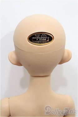 画像9: SD女の子/フルチョイス F-62 S-26-02-15-202-TO-ZS