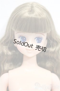 画像1: ジェニー/キャッスル：ジュディ（2019年日本橋オリジナルクリスマスモデル） S-26-02-15-127-TO-ZS