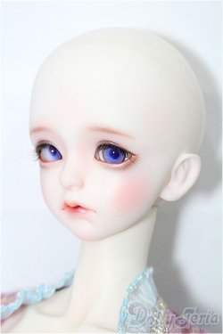 画像3: Angell Studio/Mesona S-26-02-15-106-TO-ZS