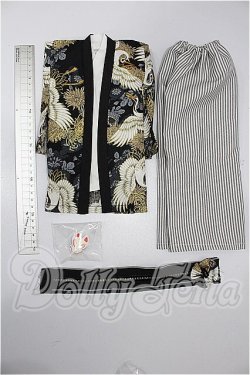 画像3: SD/OF:衣装セット S-26-03-01-311-TO-ZS