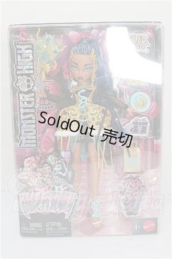 画像4: MONSTER HIGH モンスターハイ/SCARY SWEET BIRTHDAY S-26-02-22-282-TO-ZS