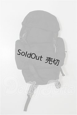 画像1: SD/OF:小物 S-26-02-22-194-TO-ZS