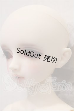 画像3: SDM女の子/コーディネートモデル F-20 S-26-02-22-101-TO-ZS