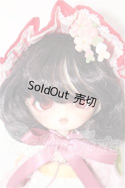 画像1: Harmonia bloom/ソメイヨシノ S-26-02-22-211-TO-ZS