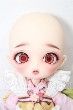 画像7: Harmonia bloom/ソメイヨシノ S-26-02-22-211-TO-ZS